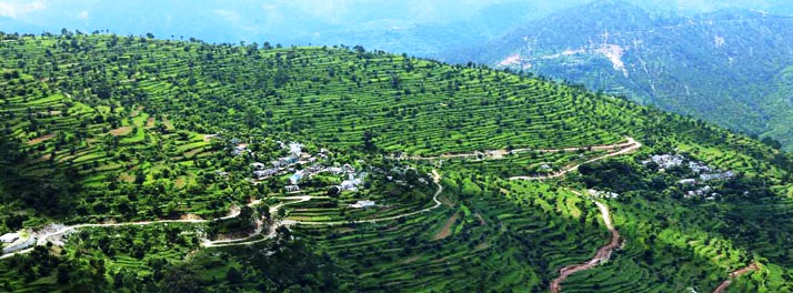 1412/Essence of Nature - Ranikhet 13.jpg